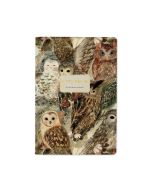 Тетрадь Альт А5 40л. линейка Bruno Visconti "Fauna" Волшебные совы