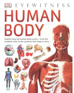 Human Body