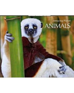 Amazing Planet. Animals