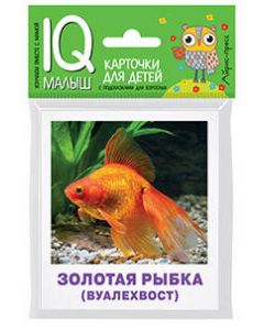 Умный малыш. Аквариумные рыбы. Набор карточек для детей.