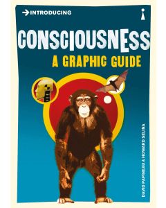 Introducing Consciousness: A Graphic Guide