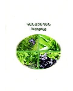 Կանաչեղեն․ ուղեցույց