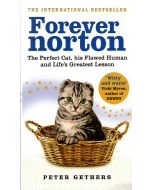 Forever norton.The perfect cat,his Flawed Human and Life's Greatest Լեսսօն